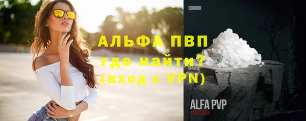 стаф Сафоново